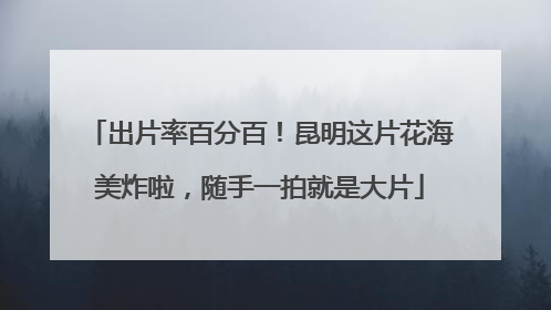 出片率百分百！昆明这片花海美炸啦，随手一拍就是大片