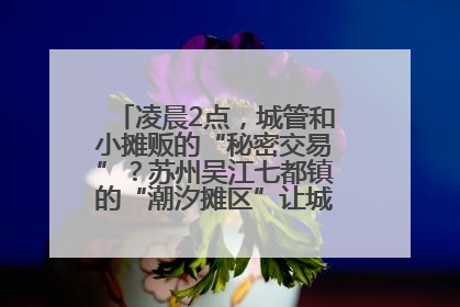 凌晨2点，城管和小摊贩的“秘密交易”？苏州吴江七都镇的“潮汐摊区”让城市管理有了人情味