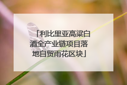 利比里亚高粱白酒全产业链项目落地自贸雨花区块