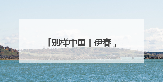 别样中国丨伊春，何以“中国林都”