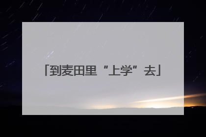 到麦田里“上学”去