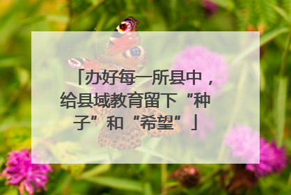 办好每一所县中，给县域教育留下“种子”和“希望”