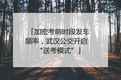 加密考前时段发车频率，武汉公交开启“送考模式”