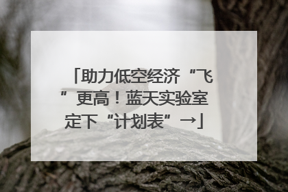助力低空经济“飞”更高！蓝天实验室定下“计划表”→