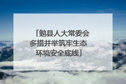 勉县人大常委会多措并举筑牢生态环境安全底线