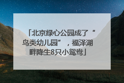 北京绿心公园成了“鸟类幼儿园”，福泽湖畔降生8只小鸳鸯