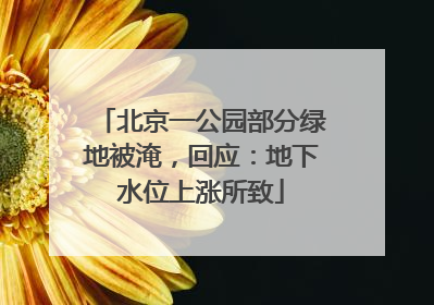 北京一公园部分绿地被淹，回应：地下水位上涨所致