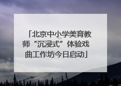 北京中小学美育教师“沉浸式”体验戏曲工作坊今日启动