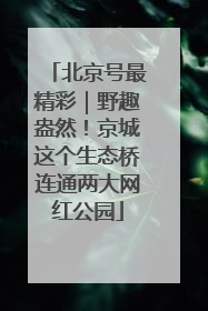 北京号最精彩｜野趣盎然！京城这个生态桥连通两大网红公园
