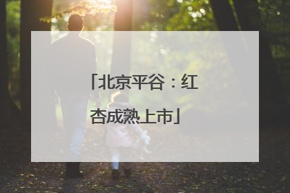 北京平谷：红杏成熟上市