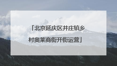 北京延庆区井庄镇乡村奥莱商街开街运营
