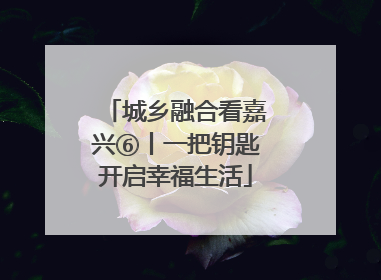 城乡融合看嘉兴⑥丨一把钥匙开启幸福生活