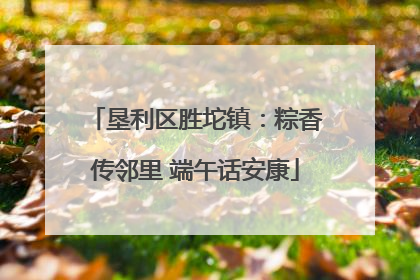垦利区胜坨镇：粽香传邻里 端午话安康