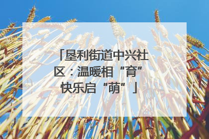 垦利街道中兴社区：温暖相“育” 快乐启“萌”