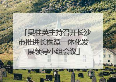吴桂英主持召开长沙市推进长株潭一体化发展领导小组会议