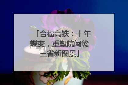 合福高铁：十年蝶变，重塑皖闽赣三省新图景