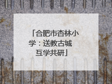 合肥市杏林小学：送教古城 互学共研