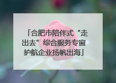 合肥市陪伴式“走出去”综合服务专窗护航企业扬帆出海