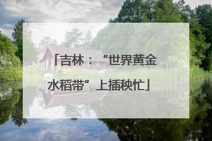 吉林：“世界黄金水稻带”上插秧忙