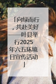 向绿而行，共赴美好——叶县举行2025年六五环境日宣传活动