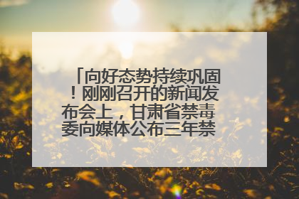 向好态势持续巩固！刚刚召开的新闻发布会上，甘肃省禁毒委向媒体公布三年禁毒工作“成绩单”