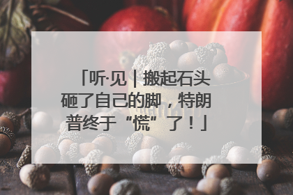 听·见｜搬起石头砸了自己的脚，特朗普终于“慌”了！