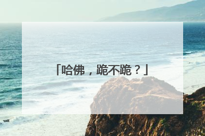 哈佛，跪不跪？