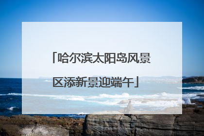 哈尔滨太阳岛风景区添新景迎端午