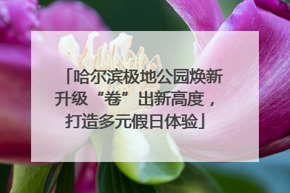 哈尔滨极地公园焕新升级“卷”出新高度，打造多元假日体验
