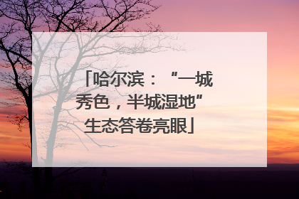 哈尔滨：“一城秀色，半城湿地”生态答卷亮眼