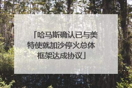 哈马斯确认已与美特使就加沙停火总体框架达成协议