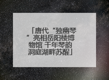 唐代“独幽琴”亮相岳阳楼博物馆 千年琴韵洞庭湖畔苏醒