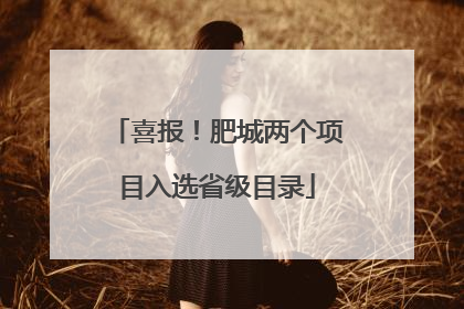 喜报！肥城两个项目入选省级目录