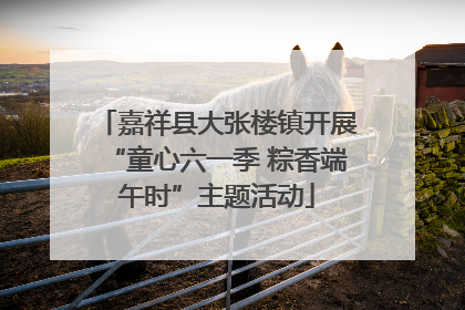 嘉祥县大张楼镇开展“童心六一季 粽香端午时”主题活动