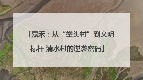 嘉禾：从“拳头村”到文明标杆 清水村的逆袭密码