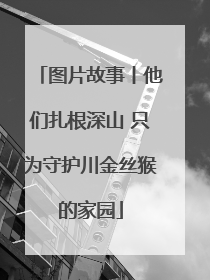 图片故事丨他们扎根深山 只为守护川金丝猴的家园