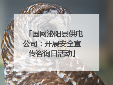国网泌阳县供电公司：开展安全宣传咨询日活动