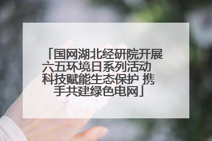 国网湖北经研院开展六五环境日系列活动 科技赋能生态保护 携手共建绿色电网