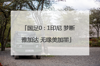 国足0∶1印尼 梦断雅加达 无缘美加墨