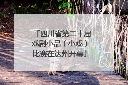 四川省第二十届戏剧小品（小戏）比赛在达州开幕