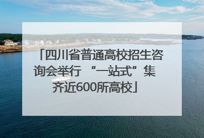四川省普通高校招生咨询会举行 “一站式”集齐近600所高校