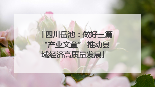 四川岳池：做好三篇“产业文章” 推动县域经济高质量发展