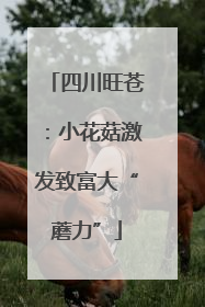 四川旺苍：小花菇激发致富大“蘑力”