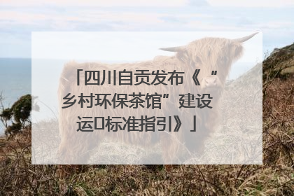 四川自贡发布《“乡村环保茶馆”建设运⾏标准指引》