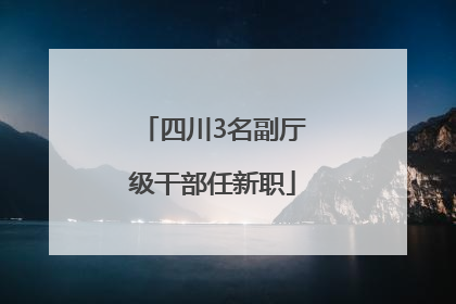 四川3名副厅级干部任新职