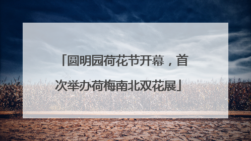 圆明园荷花节开幕，首次举办荷梅南北双花展