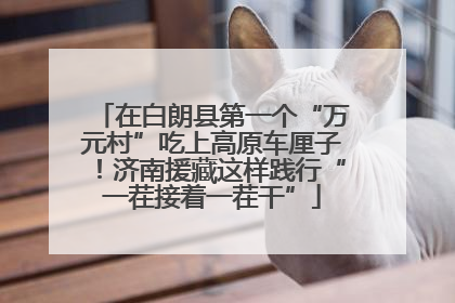 在白朗县第一个“万元村”吃上高原车厘子！济南援藏这样践行“一茬接着一茬干”