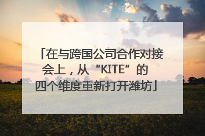 在与跨国公司合作对接会上，从“KITE”的四个维度重新打开潍坊