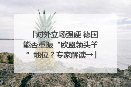 对外立场强硬 德国能否重振“欧盟领头羊”地位？专家解读→