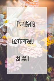 导游的拉布布别乱拿